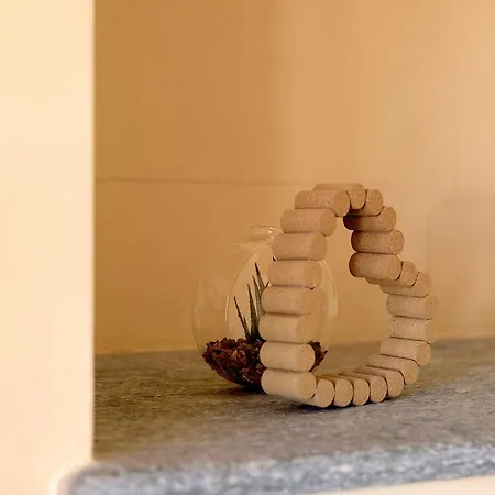 Cascina Orlandi Bed & Breakfast Costigliole d'Asti