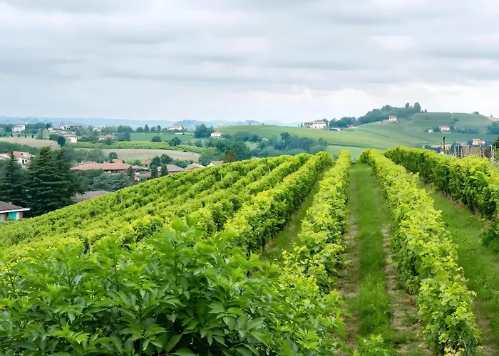 Cascina Orlandi 3* Costigliole d'Asti